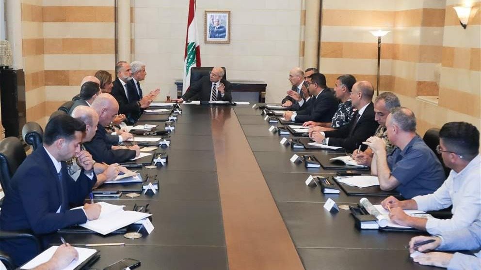 إجراءات مشددة بمحيط المطار.. منع تربية الطيور وإقفال المزارع المخالفة