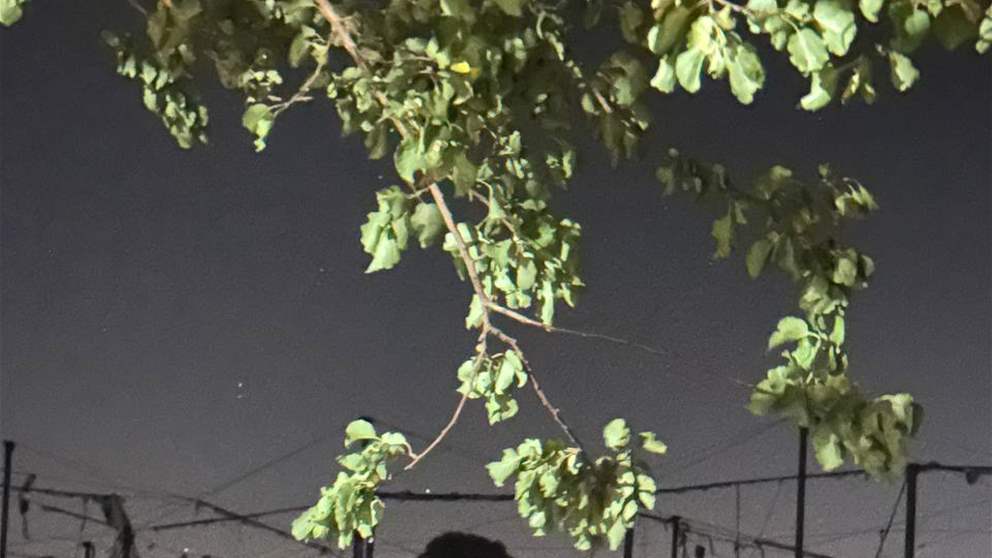 مراسل الجديد: غارة على بلدة  المنصوري قضاء صور