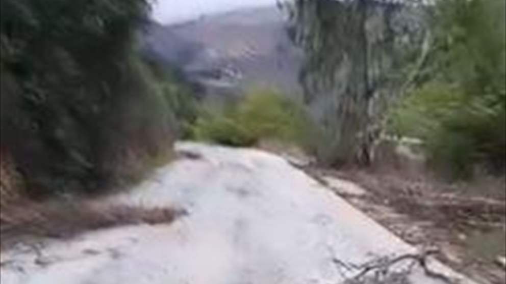 على أغنية نعيم الشيخ.. شبان يدخلون بلدة محتلة في الجنوب (شاهد الفيديو) 