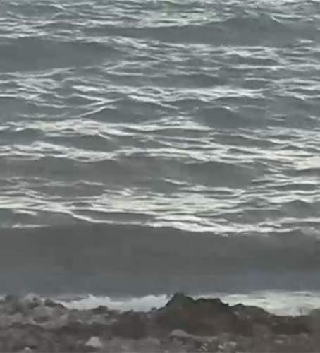 عاد الزَّورق وغاب رمضان.. قصة بحر وصياد - شاهد التقرير