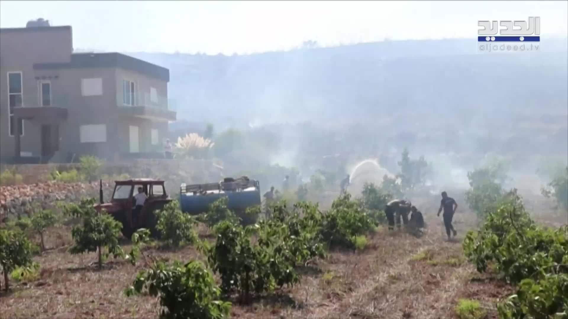 تقارير إخبارية