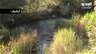 After Occupying the Land… Israel Sets Its Sights on Southern Lebanon’s Rivers