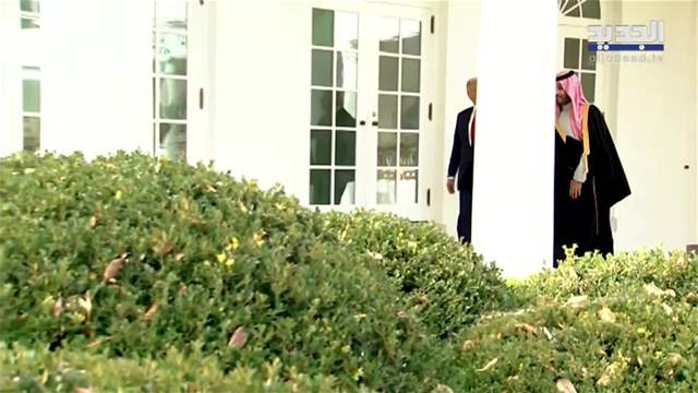 تقارير إخبارية