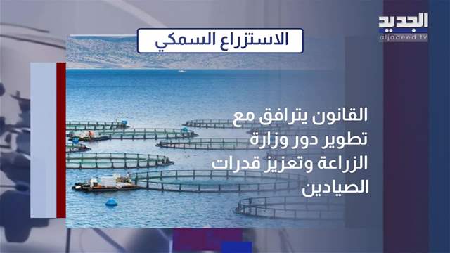 المشهد الاقتصادي لبنان يستورد ثلاثة أضعاف إنتاجه… قانون جديد لاستزراع السمك