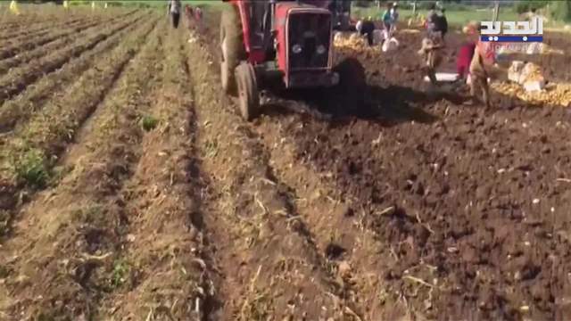 تقارير إخبارية