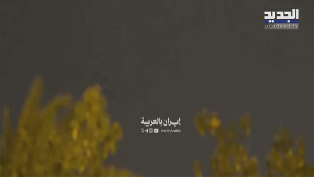 تقارير إخبارية