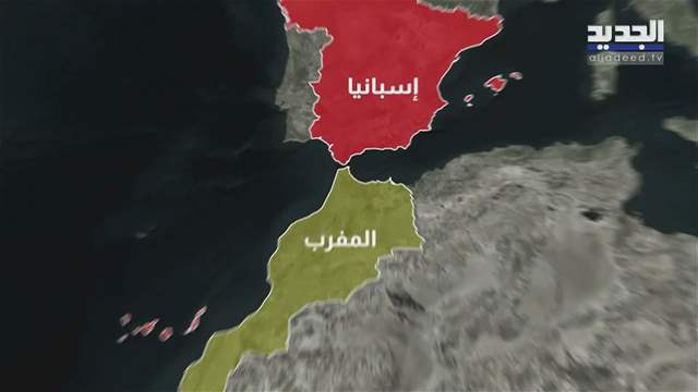 تقارير إخبارية