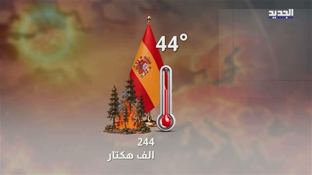 تقارير إخبارية
