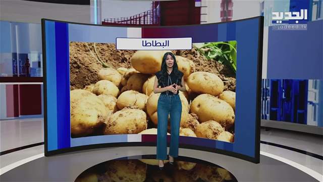 News Reports